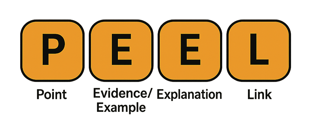 Graphic showing the P.E.E.L. structure: Point, Evidence/Example, Explanation, Link